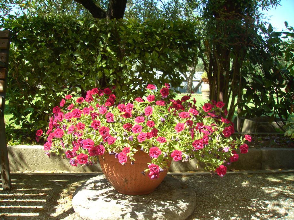Tenuta Fagnani Lucca Zimmer foto