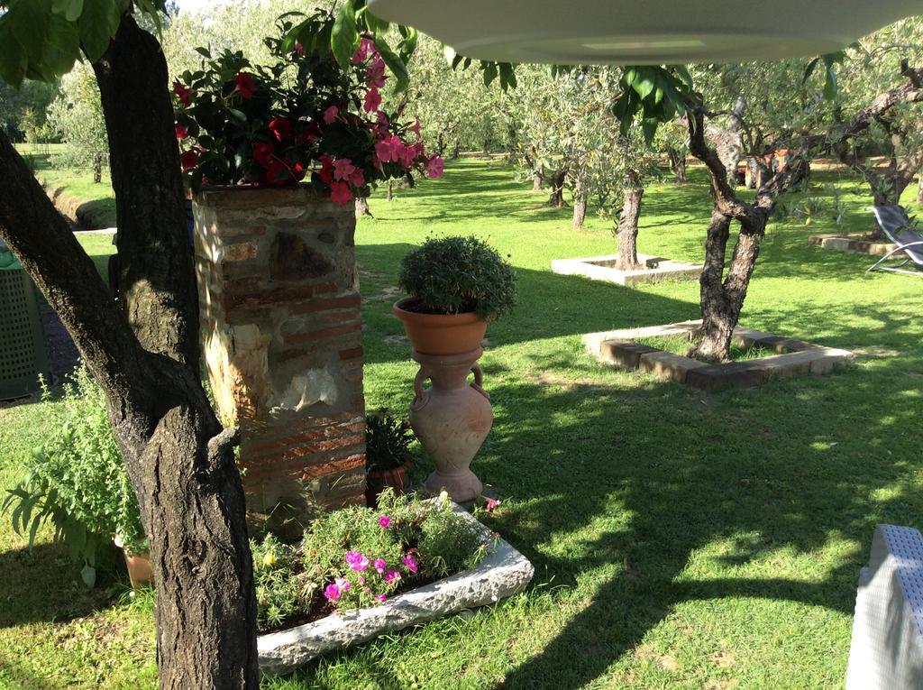 Tenuta Fagnani Lucca Exterior foto